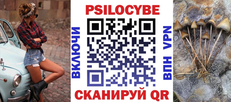 кракен как зайти Асино Галлюциногенные грибы Psilocybe где купить наркоту
